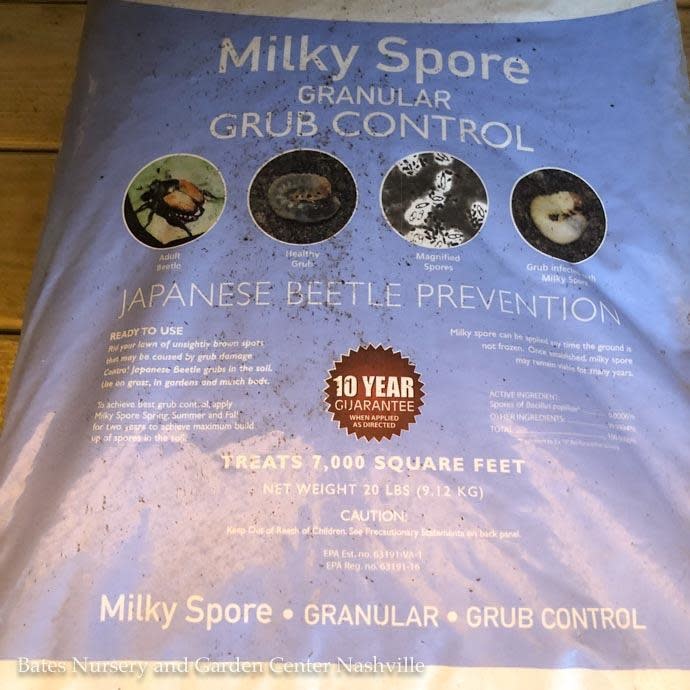 20Lb Milky Spore/Grub Control/7000 Sq.Ft Granular St Gabriel
