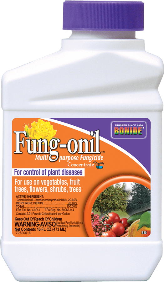 1Pt Fung-onil Fungicide Concentrate Bonide