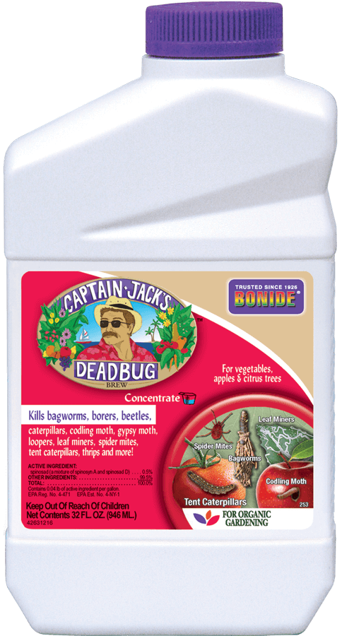 Captain Jack's Dead Bug Brew 1Qt Concentrate Insecticide Bonide