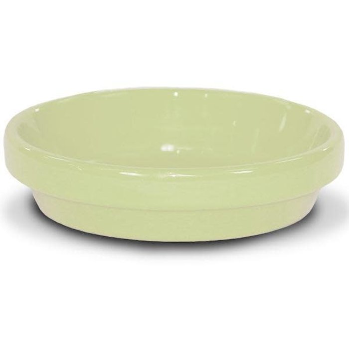 Saucer 6" Glazed Butter Yellow