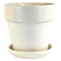 Pot Crackle Glazed Standard w/att Saucer 6x6 Cream