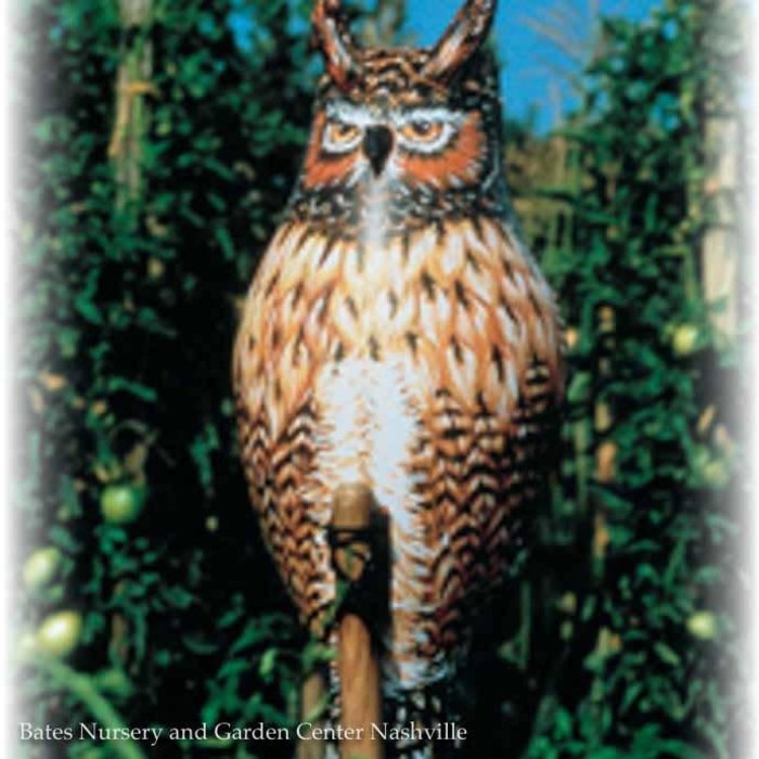 Inflatable Great Horned Owl-Natural Enemy Dalen
