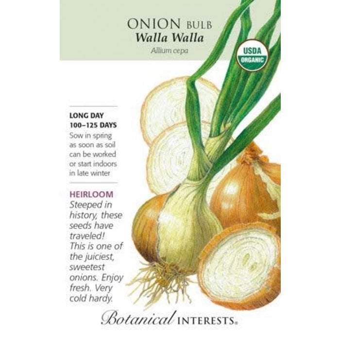 Seed Veg Onion WallaWalla Yellow Organic Heirloom - Allium cepa