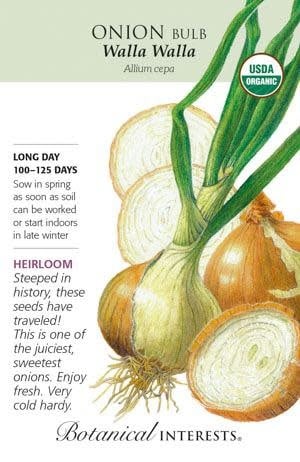 Seed Veg Onion WallaWalla Yellow Organic Heirloom - Allium cepa