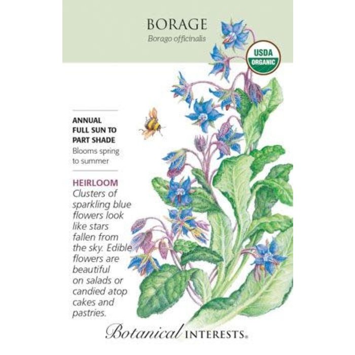 Seed Herb Borage Organic Heirloom - Borago officinalis