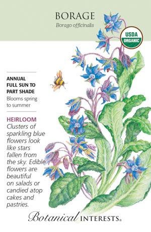 Seed Herb Borage Organic Heirloom - Borago officinalis