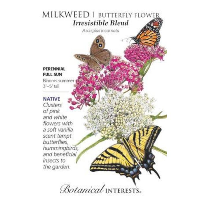 Seed Flwr Milkweed Butterfly Flower Irresistable Blend Heirloom Native (TN) - Asclepias incarnata