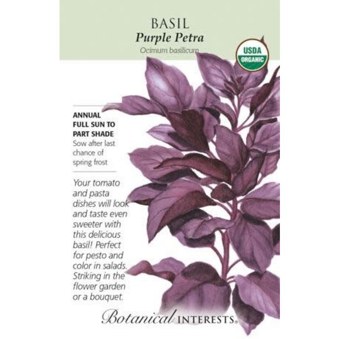 Seed Herb Basil Purple Petra Organic - Ocimum basilicum