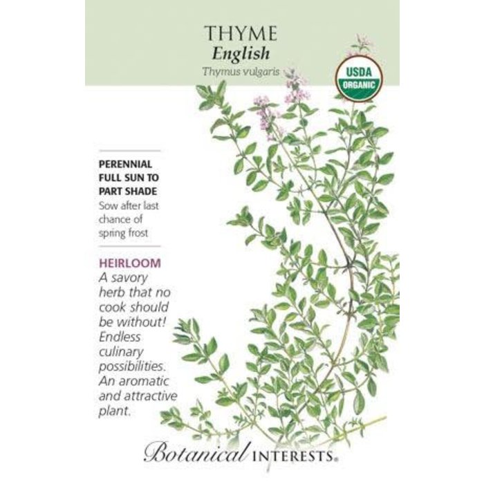 Seed Herb Thyme English Organic Heirloom - Thymus vulgaris