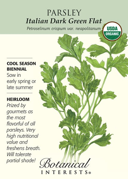 Seed Herb Parsley Italian Dark Green Flat Leaf Organic Heirloom - Petroselinum cripsum