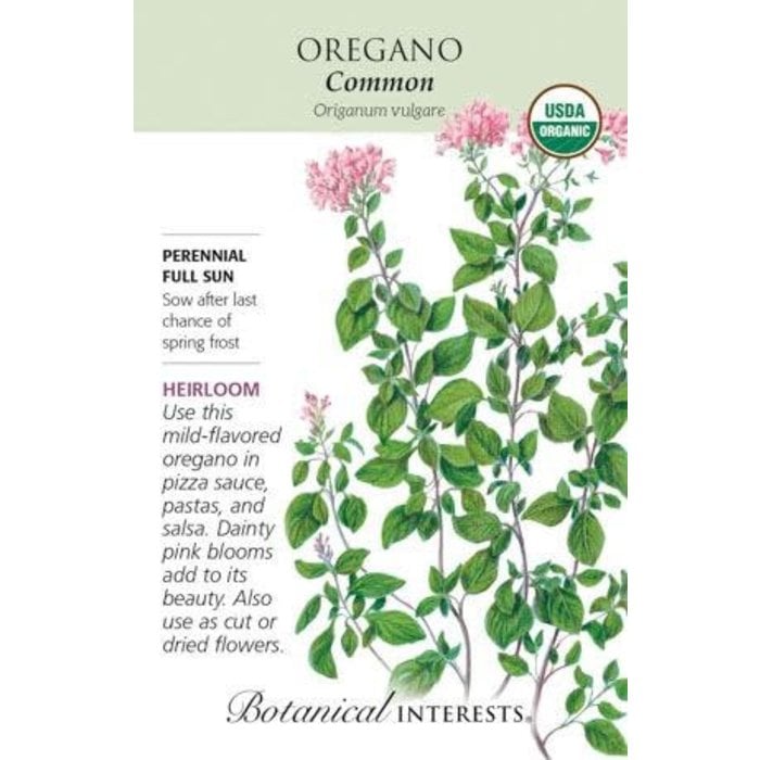 Seed Herb Oregano Common Organic Heirloom - Origanum vulgare