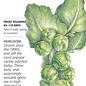 Seed Veg Brussels Sprouts Long Island Improved Heirloom - Brassica oleracea (Gemmifera group)