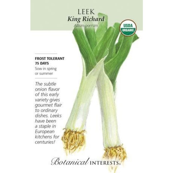 Seed Veg Leek King Richard Organic - Allium ampeloprasum