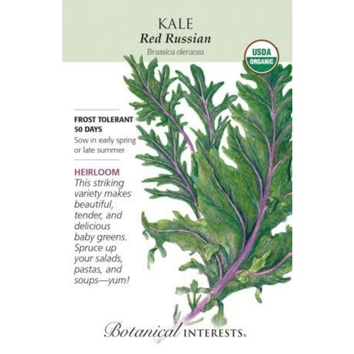 Seed Veg Kale Red Russian Organic Heirloom - Brassica oleracea