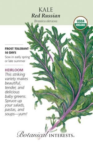 Seed Veg Kale Red Russian Organic Heirloom - Brassica oleracea