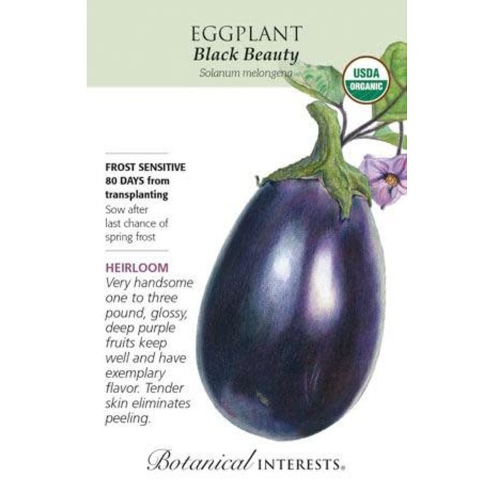 Seed Veg Eggplant Black Beauty Organic Heirloom - Solanum melongena