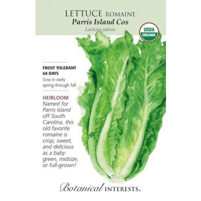 Seed Veg Lettuce Romaine Parris Island Cos Organic Heirloom - Lactuca sativa