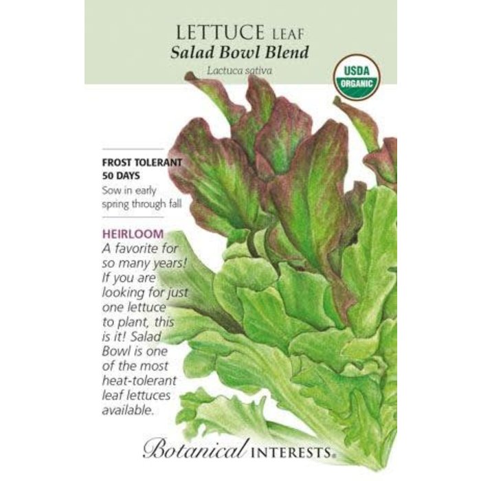 Seed Veg Lettuce Leaf Salad Bowl Blend Organic Heirloom - Lactuca sativa