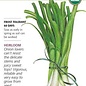 Seed Veg Onion Bunching/Scallion White Lisbon Organic Heirloom - Allium cepa