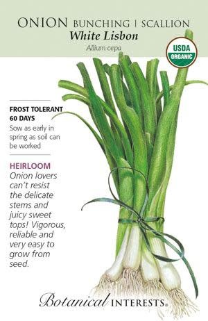 Seed Veg Onion Bunching/Scallion White Lisbon Organic Heirloom - Allium cepa