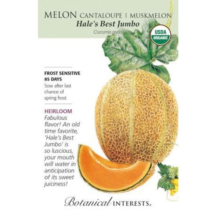 Seed Veg Melon Muskmelon/Cantaloupe Hale's Best Jumbo Organic Heirloom - Cucumis melo