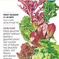 Seed Veg Lettuce Mesclun Gourmet Baby Greens Organic Heirloom - Lactuca sativa