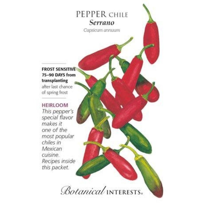 Seed Veg Pepper Chile Serrano Heirloom - Capsicum annuum