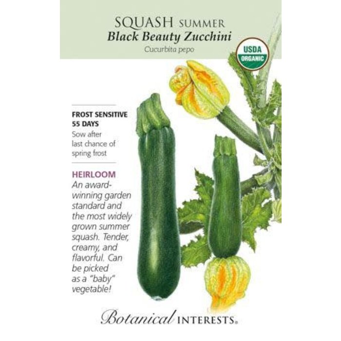 Seed Veg Squash Summer Black Beauty Zucchini Organic Heirloom - Curcurbita pepo