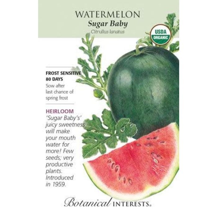 Seed Veg Watermelon Sugar Baby Organic Heirloom - Citrullus lanatus