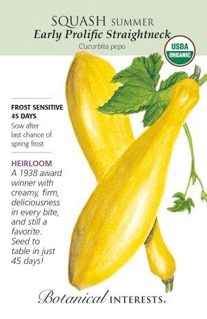 Seed Veg Squash Summer Early Prolific Straightneck Organic Heirloom - Curcurbita pepo