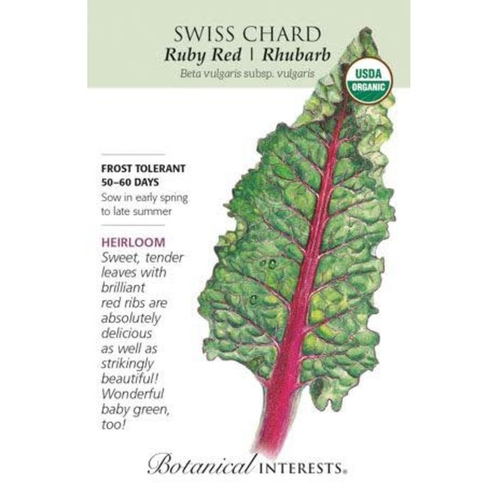Seed Veg Swiss Chard Ruby Red/Rhubarb Organic Heirloom - Beta vulgaris (Cicla group)