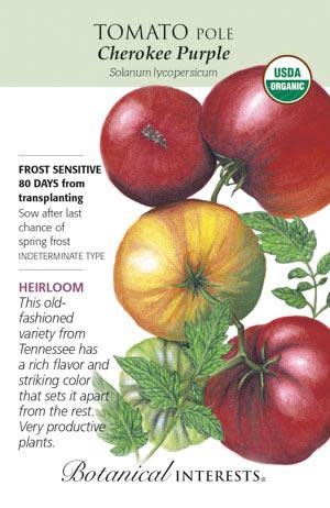 Seed Veg Tomato Pole Cherokee Purple Organic Heirloom - Lycopersicon lycopersicum