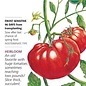 Seed Veg Tomato Pole Beefsteak Organic Heirloom - Lycopersicon lycopersicum