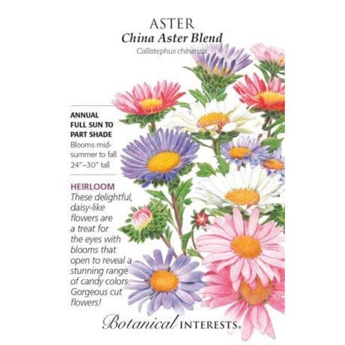 Seed Flwr Aster China Blend Heirloom - Callistephus chinensis