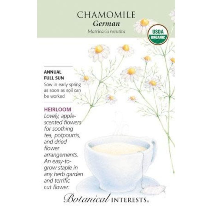 Seed Herb Chamomile German Organic Heirloom - Anthriscus cerefolium