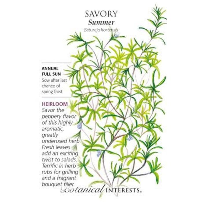 Seed Herb Savory Summer Heirloom - Satureja hortensis