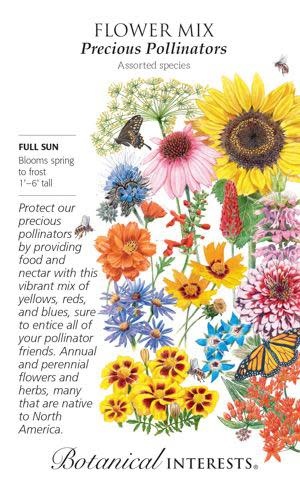 Seed Flower Mix Precious Pollinators - Assorted species - Lrg Pkt
