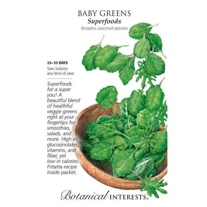 Seed Baby Greens Superfoods Mix - Brassica, assorted species - Lrg Pkt