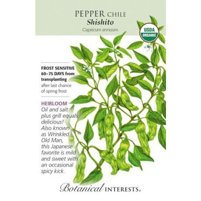 Seed Veg Pepper Chile Shishito (Dragon Roll) Organic  Heirloom - Capsicum annuum