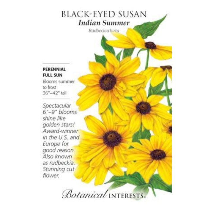 Seed Flwr Black-Eyed Susan Indian Summer