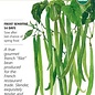 Seed Veg Bean Bush French Tavera Organic - Phaseolus vulgaris