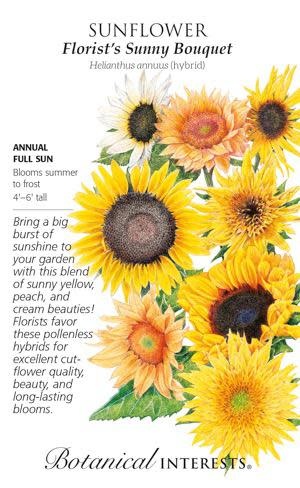 E30-Seeds (Non-Grass Seed) Seed Sunflower Florist's Bouquet ...