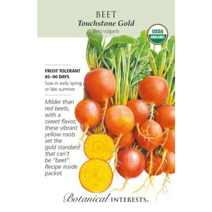 Seed Veg Beet Touchstone Gold Organic - Beta vulgaris