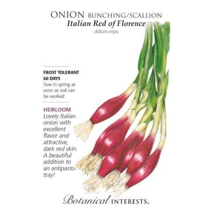 Seed Veg Onion Bunching Italian Red Heirloom - Allium cepa