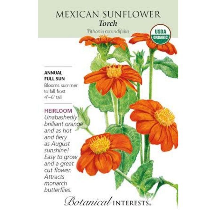 Seed Flwr Sunflower Mexican Torch Organic Heirloom - Tithonia rotundifolia
