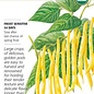 Seed Veg Bean Bush Gold Rush Yellow Organic - Phaseolus vulgaris