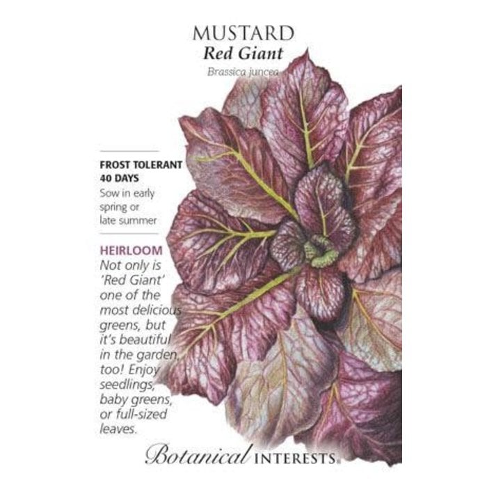Seed Veg Mustard Red Giant Heirloom - Brassica juncea