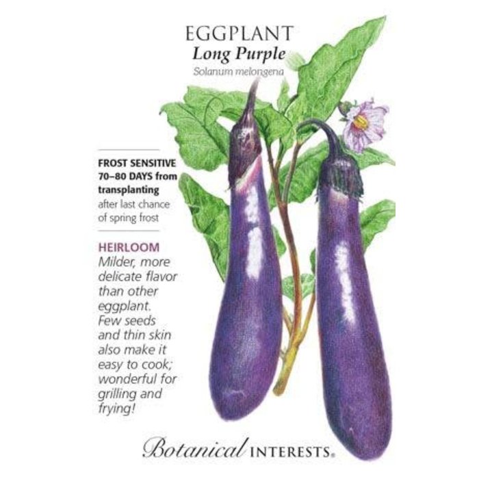 Seed Veg Eggplant Long Purple Heirloom - Solanum melongena