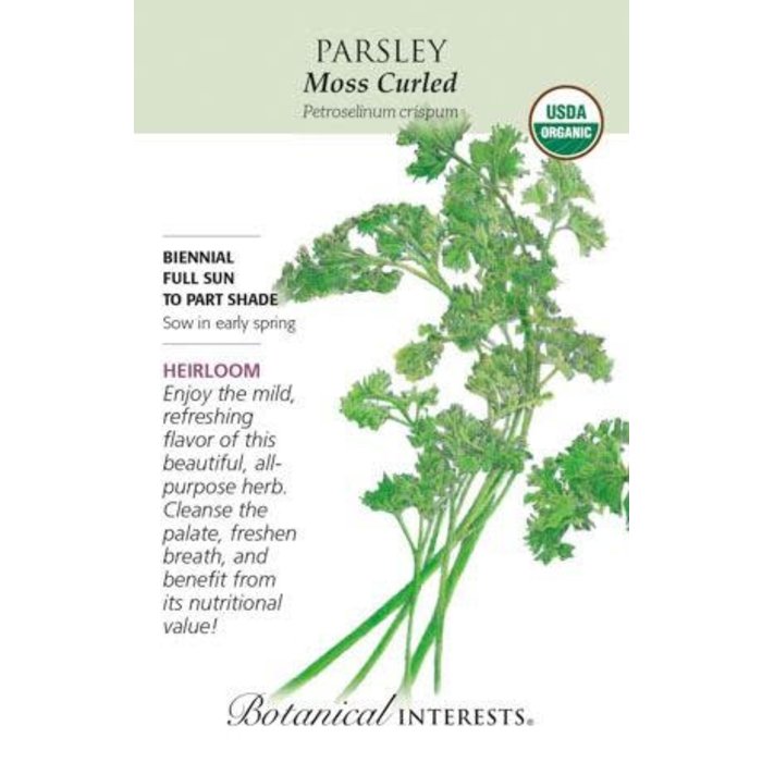Seed Herb Parsley Moss Curled Organic Heirloom - Petroseelinum crispum