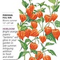 Seed Flwr Chinese Lantern Heirloom - Physalis alkekengi